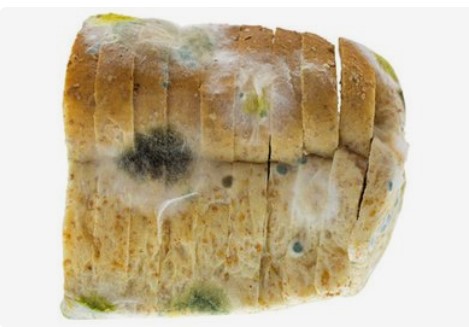 单端孢霉烯族毒素,伏马毒素(fb),杂色曲霉素(st),展青霉素(pat)以